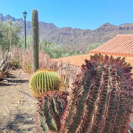 Alojamento de Turismo Rural El Vergel *