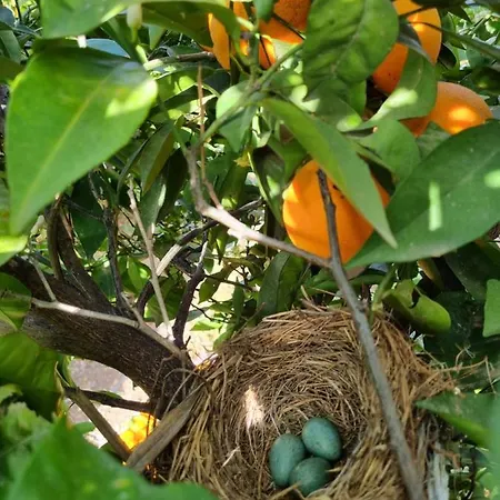 Agroturismo El Vergel