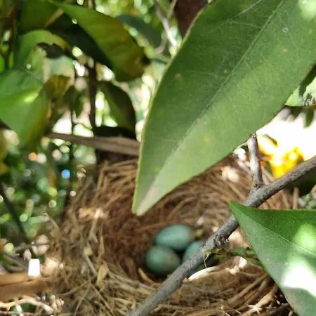 El Vergel Agroturismo *