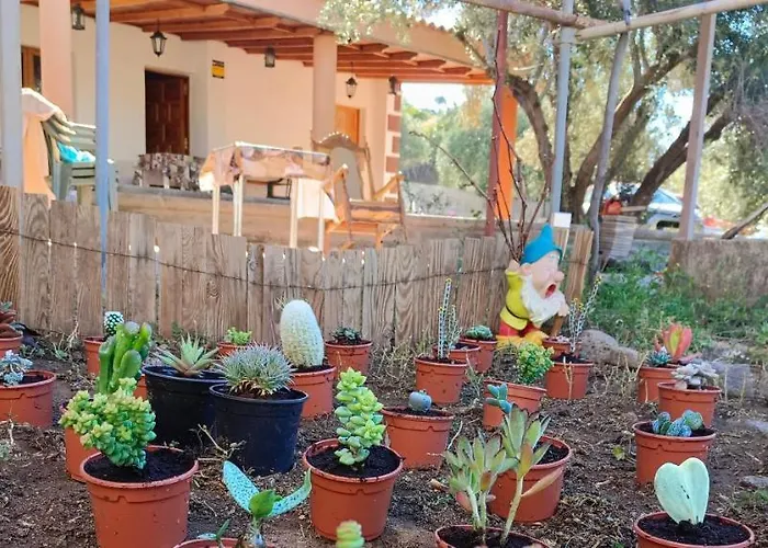 Agrorural La Rueda Lantgård